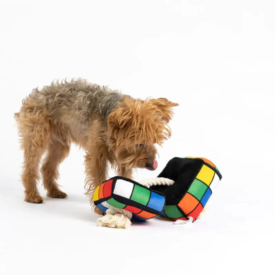 Jouet Cube Rubix pour chien - 50% de réduction - Boutique Animo - Jouet pour chien