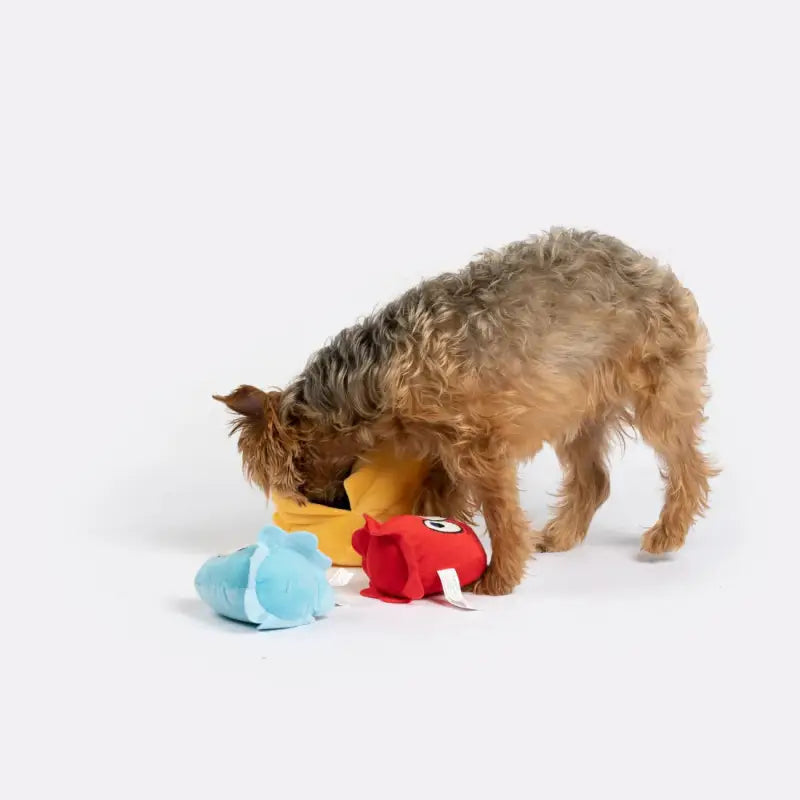 Load image into Gallery viewer, Jouet Pacman pour chien - Boutique Animo - Jouet pour chien
