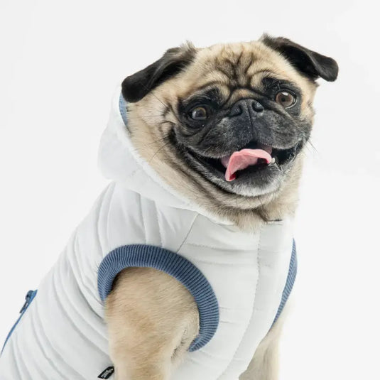 Manteau bleu blanc pour chien - Boutique Animo - Manteau pour chien
