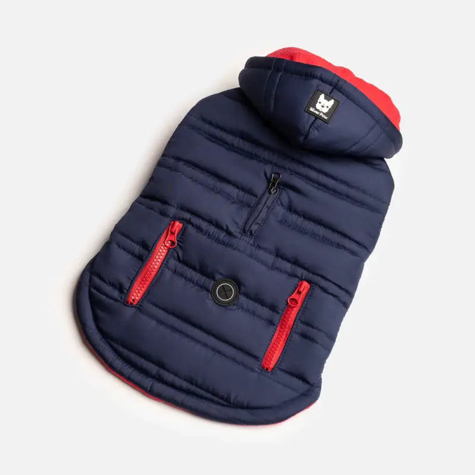 Manteau bleu pour chien - 50% de réduction - Boutique Animo - Manteau pour chien