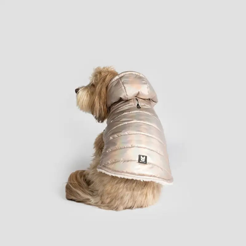 Chargez l&#39;image dans la visionneuse de la galerie, Manteau brillant rose silver pour chien - Boutique Animo - Manteau pour chien
