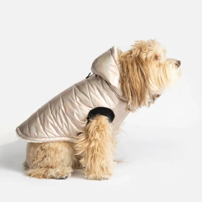 Chargez l&#39;image dans la visionneuse de la galerie, Manteau brillant rose silver pour chien - 50% de réduction - Boutique Animo - Manteau pour chien
