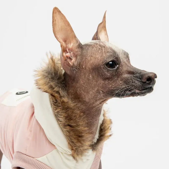 Manteau rose pour chien - 50% de réduction - Boutique Animo - Manteau pour chien