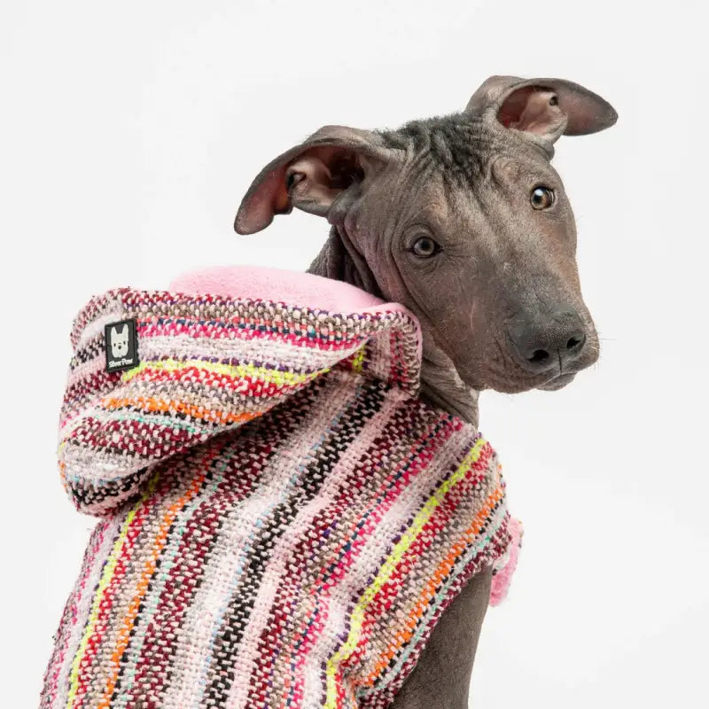 Chargez l&#39;image dans la visionneuse de la galerie, Poncho baja rose pour chien - Boutique Animo - Manteau pour chien
