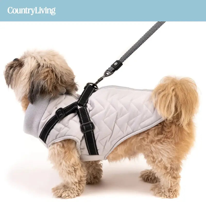 Chargez l&#39;image dans la visionneuse de la galerie, Veste avec harnais intégré gris pour chien - Boutique Animo - Manteau pour chien
