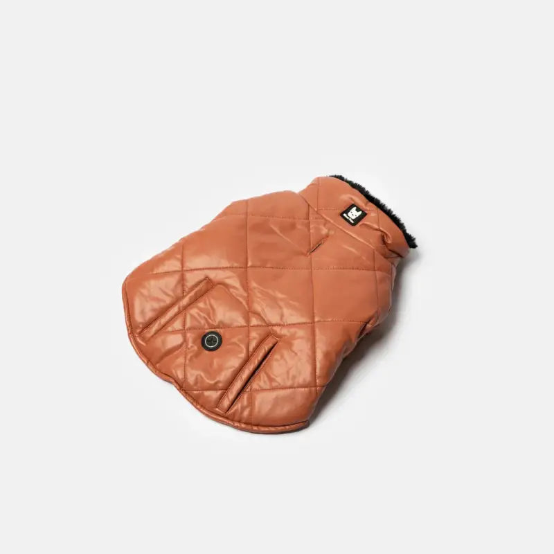 Chargez l&#39;image dans la visionneuse de la galerie, Veste Phoenix - Terre cuite pour chien - Boutique Animo - Manteau pour chien
