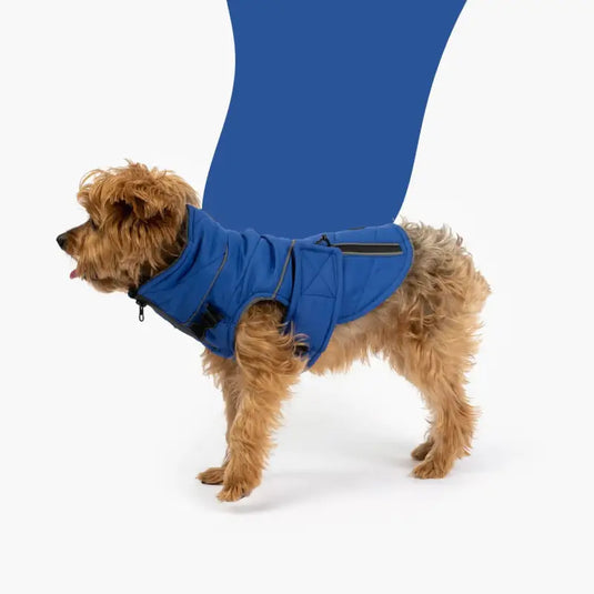 Veste pour chien Bailey - Bleu pour chien - 50% de réduction - Boutique Animo - Veste pour chien