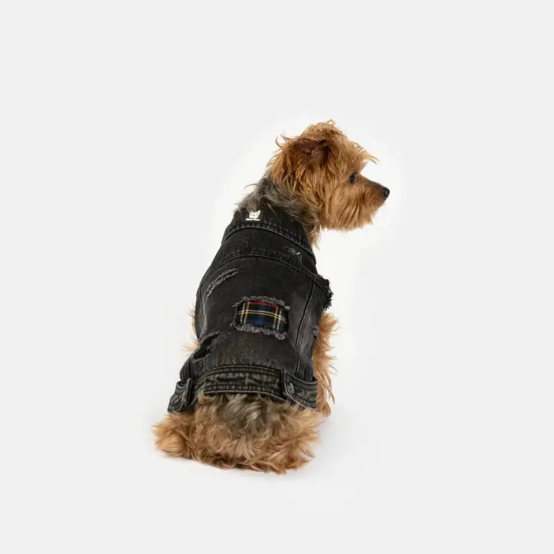 Load image into Gallery viewer, Veste pour chien Spencer pour chien - Boutique Animo - Manteau pour chien
