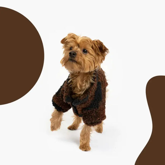 Veste Sherpa Brun pour chien - Boutique Animo - Manteau pour chien
