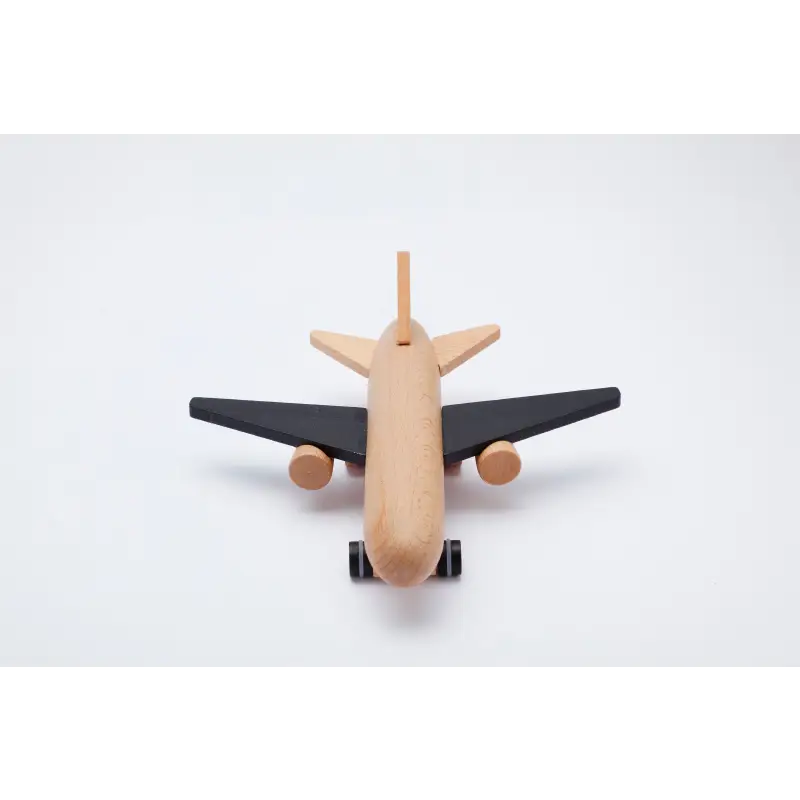 Chargez l&#39;image dans la visionneuse de la galerie, Hikoki - Avion à friction Noir - 45% de réduction - Kiko &amp; GG - Jouet
