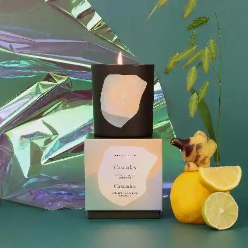 Flacon de parfum avec sa boîte d'emballage à côté des agrumes.